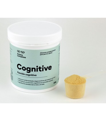 COGNITIVE